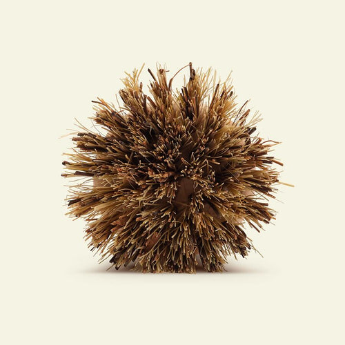 La brosse naturelle à vaisselle - Atma Kitchenware