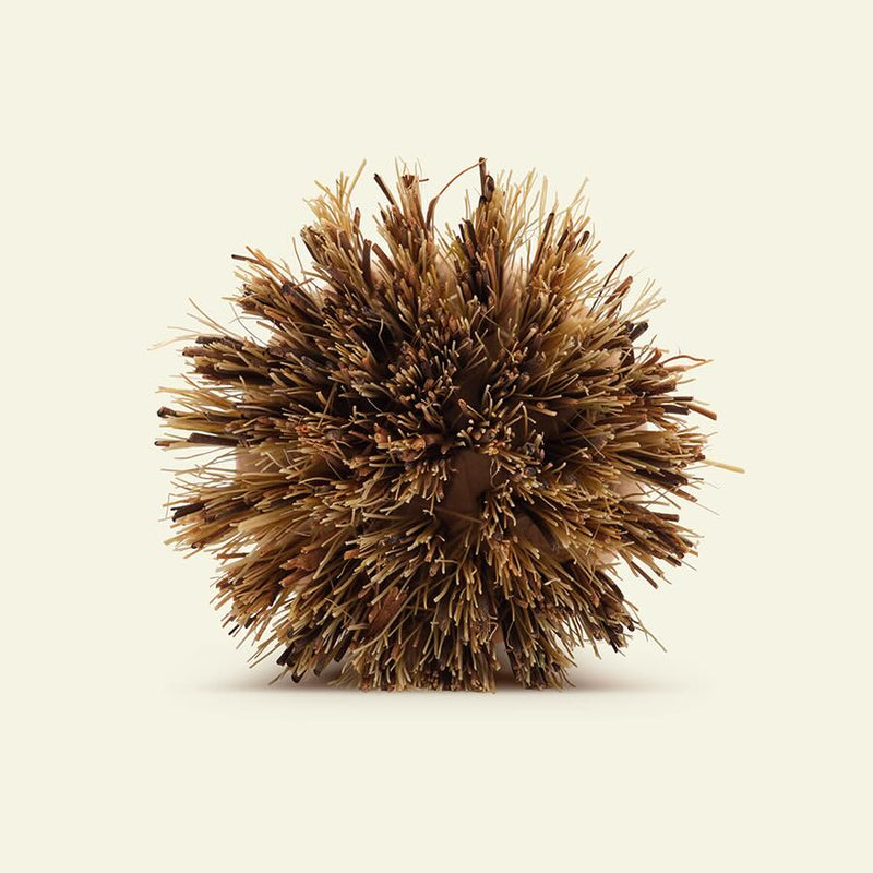 La brosse naturelle à vaisselle - Atma Kitchenware