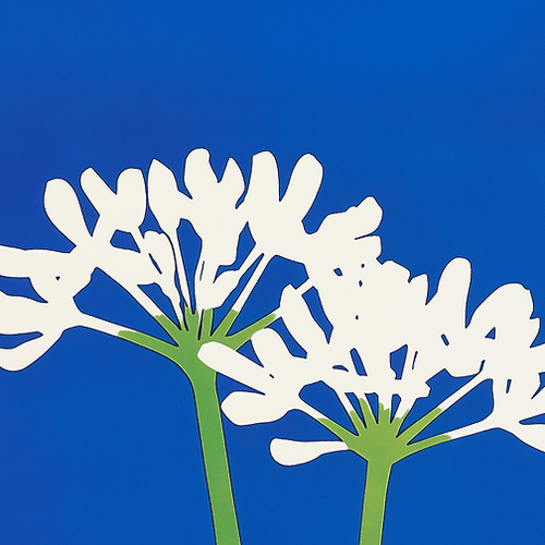 SÉRIE : AIL DES OURS - Atma Kitchenware